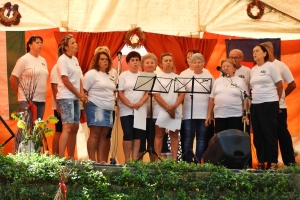 XIII. Krustallkoz s Langall fesztivl