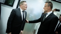 Dbrg a paksi beruhzs, a kvetkez vtized elejre elkszlnek az j blokkok (vide)