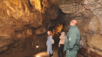 Denevrestet rendeznek Abaligeten