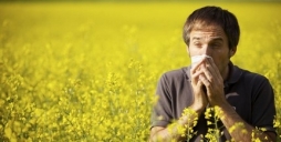 Most is sok a pollen a baranyai levegben