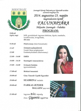 Falunap 2014