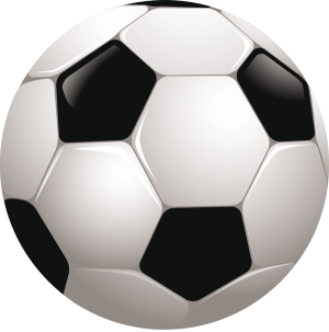 A Kishrsgyi Sportegyeslet plyzata