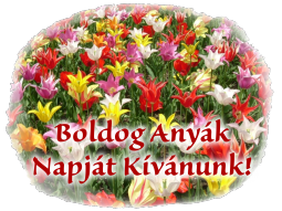 Anyk Napja!