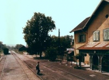 Filmtrtneti rendezvny Almamellken