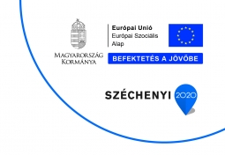 HUMN SZOLGLTATSOK FEJLESZTSE TRSGI SZEMLLETBEN MOZSG S KRNYKE TRSGBEN