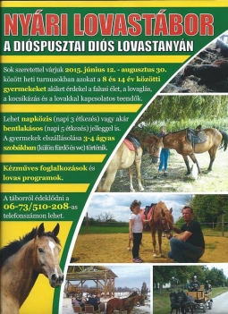 Nyri lovastbor a dispusztai dis lovastanyn