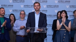 Vitzy Dvid kezdemnyezi a fpolgrmester-vlasztson leadott rvnytelen szavazatok jraszmllst