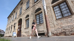 Galambrlk, mozg tglk: elszomort llapotban a Nprajzi Mzeum
