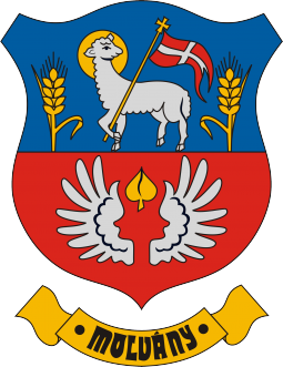 Helyhatsgi vlaszts