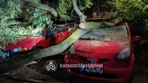 Bven akadt dolguk a tzoltknak szerdn s az jszakai vihar miatt