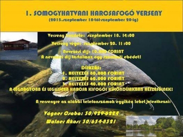 I. Somogyhatvani Harcsafog Verseny
