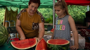 Tudta ezt? A dinnye nem szereti se a bann, se a paradicsom kzelsgt!
