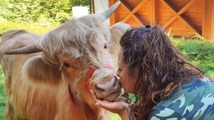 A kt liliputi marha a MancsRanch j sztrja