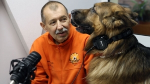 A legismertebb magyar mentkutya is keresi a  Bkkaranyosrl eltnt Tth Balzst.
