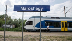 Kiderlt, mirt halt meg a 14 ves diklny a fehrvri vasti tjrban