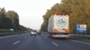 Erre senki nem szmt: vaddiszn rohant egy kocsinak az autplyn (vide)