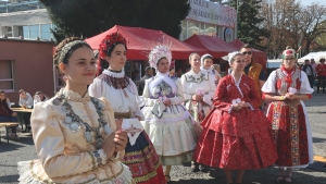 Baranyba jn sokak kedvence, a Bagossy Brothers Company