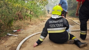 Erdtz Vasban: a tzoltknak sikerlt elfojtaniuk a lngokat, az utmunklatok zajlanak