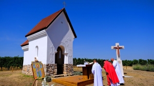 A Somogyi csald tagjai kiemelked szerepet jtszottak a magyar trtnelemben