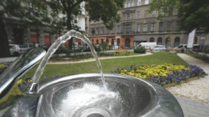 Az ivkutak csak dsznek vannak?! - teszi fel a krdst mltatlankodva olvasnk