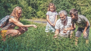 Nem kell rgtn a patikba menni, irny a termszet!