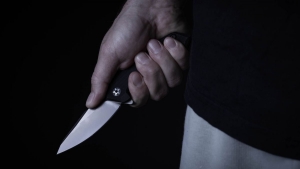 Hallos ksels trtnt Rotterdamban