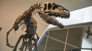 Dinoszauruszok vgnapjairl is hallhatunk a Kutatk jszakjn Pcsen