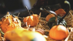 A d�szt�k dekor�ci�, �s nem �tel