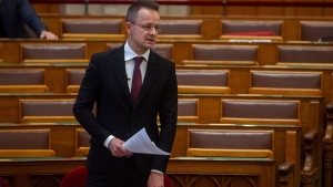 A gazdasgi semlegessg politikja nlkl haznk nagy nvekedsi lehetsgtl esne el (vide)