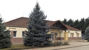 Forr leves borult egy vods kislnyra, slyosan meggett
