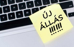 Minden egy helyen lesz a pcsi llskeresk Napjn